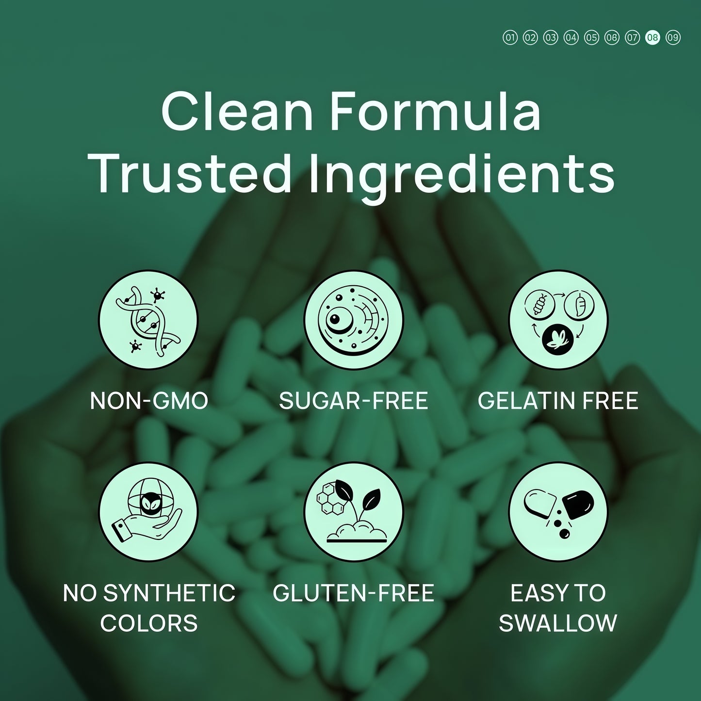 Selerb Berberine + Green Tea + B12 Complex - Gentle Plant-Based Formula with Chromium - 60 Capsules