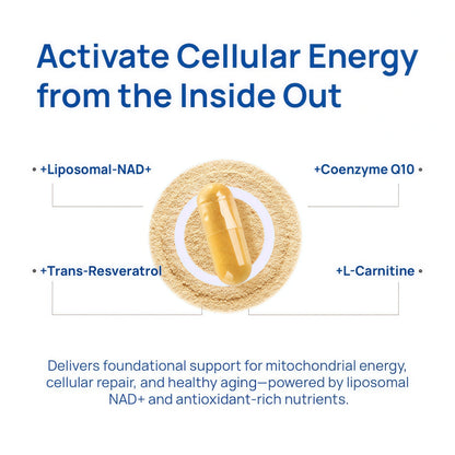 Selerb NAD+ Supplements for Men – Nitric Oxide Prostate Health Supplements for Men with Resveratrol, CoQ10, L Citrulline and Lycopene for Anti-Aging, Stamina & Cellular Energy Support 60 Capsules