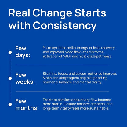 Selerb NAD+ Supplements for Men – Nitric Oxide Prostate Health Supplements for Men with Resveratrol, CoQ10, L Citrulline and Lycopene for Anti-Aging, Stamina & Cellular Energy Support 60 Capsules